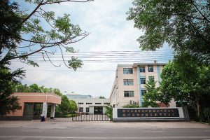 IMG_8626
